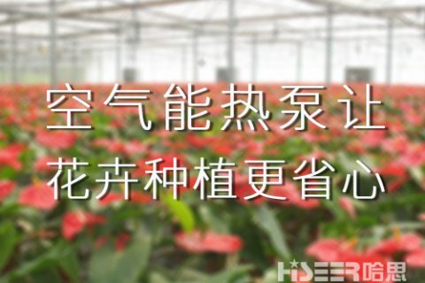 空气能热泵让花卉莳植更省心，优品率可达90%以上